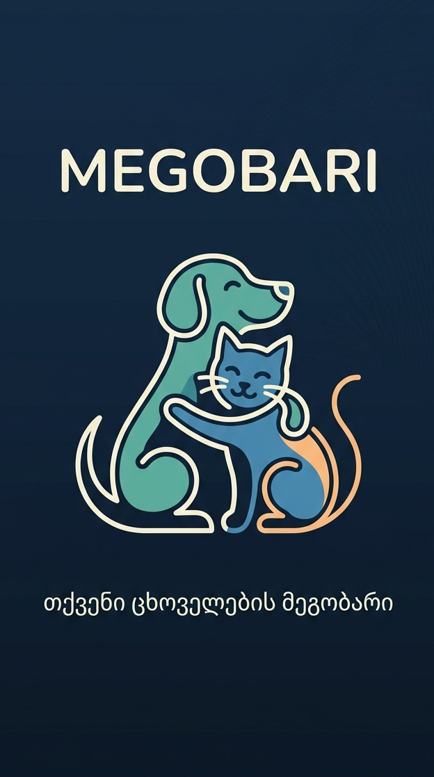 Megobari აპლიკაციის ეკრანი